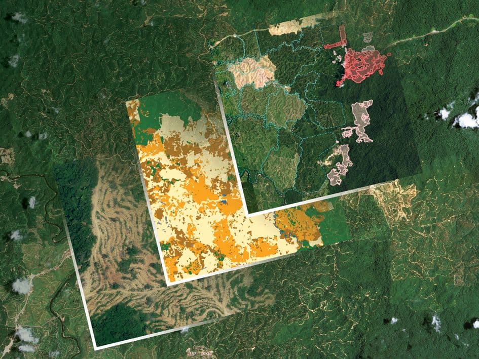 Forest monitoring and deforestation change detection from satellites
