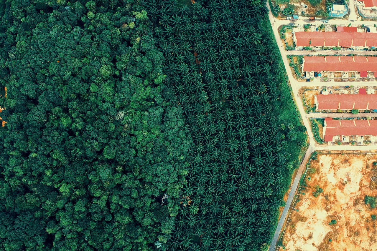 KACSAT deforestation and forest analysis