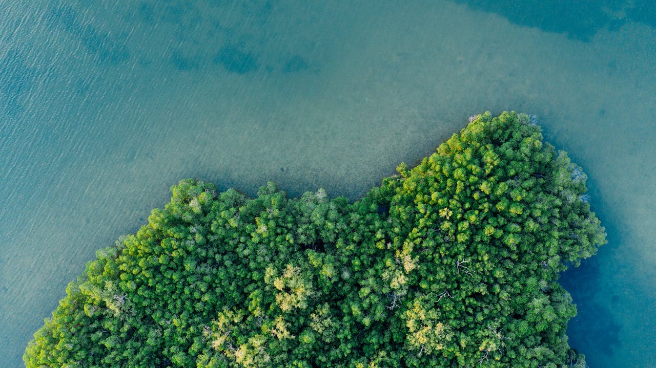 L-Band SAR and satellite remote sensing