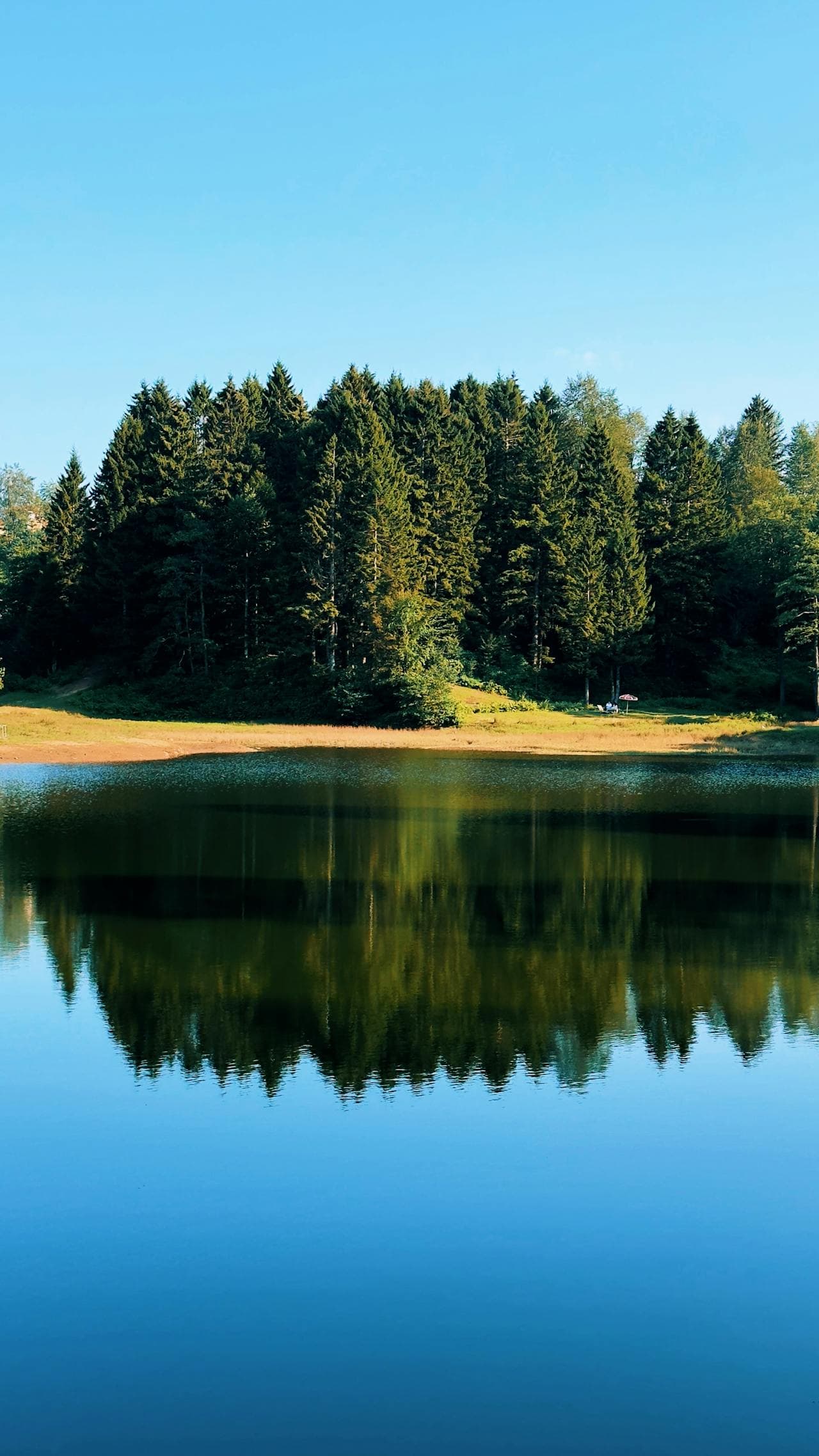 Satellite water quality analysis for coastal programs